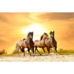 Bild von Papermoon Fotobehang Horses Run in Sunset multicolor